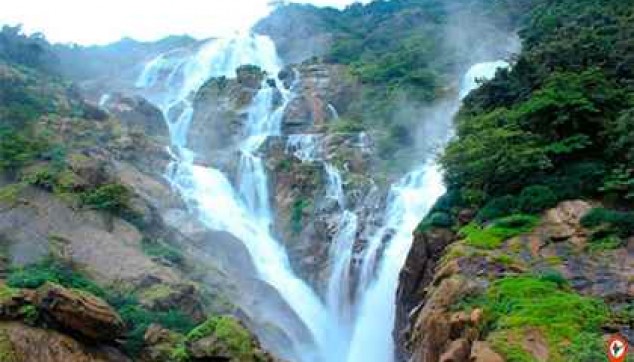 Full Day Trip To Dudhsagar Falls
