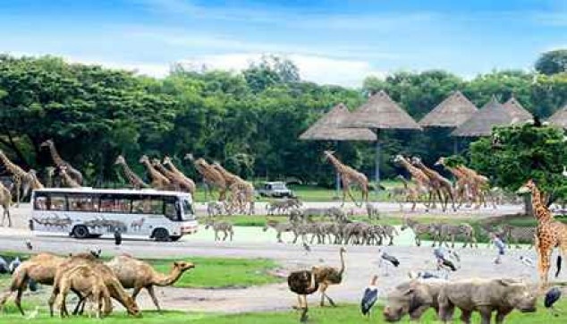 Safari World in Bangkok