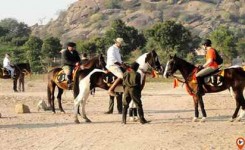 Horse Riding Experience In The Countryside
