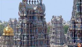 Mahabalipuram and Kanchipuram tour