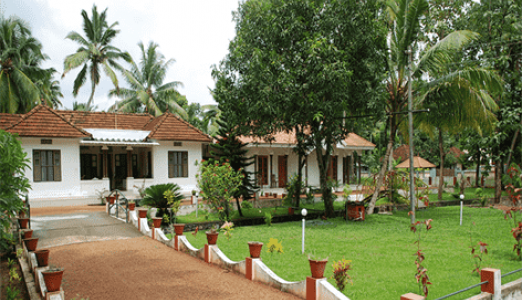 Top Reasons To Visit Kerala