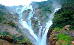 Full Day Trip To Dudhsagar Falls