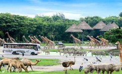 Safari World in Bangkok