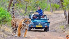 Private Jaipur To Ranthambore Tour Package